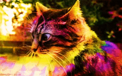 a pixelated image of a cat with the words sheepfilm.co.uk written below it