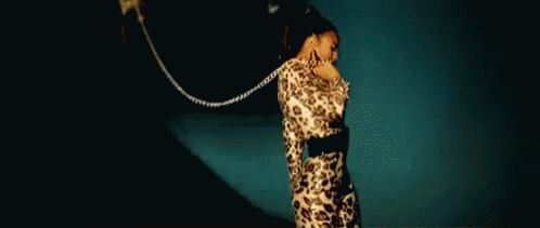 Beyonce Cats GIF - Beyonce Cats Cat Day GIFs
