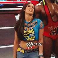 Wwe Thats Not Appropriate GIF - Wwe Thats Not Appropriate GIFs