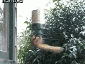 Busted Squirrel GIF - Busted Squirrel Spin GIFs