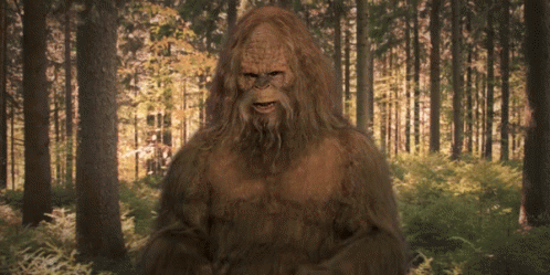 Bigfoot What GIF - Bigfoot What Confused GIFs
