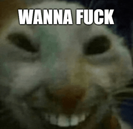 a close up of a cat 's face with the words wanna fuck written on it