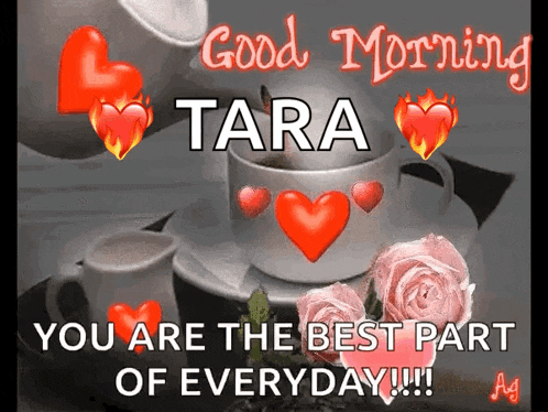 a good morning tara you are the best part of everyday !