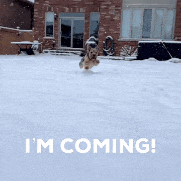a dog running in the snow with the words " i 'm coming " behind it