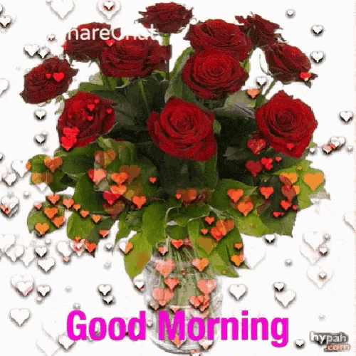 a bouquet of red roses in a vase with the words " good morning " on the bottom