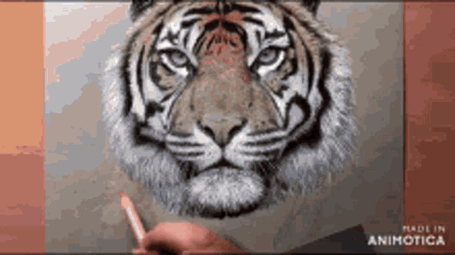 a person is drawing a tiger with a pencil on a piece of paper