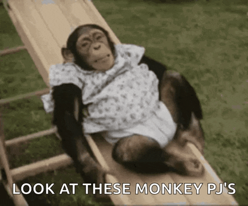 a chimpanzee is laying on a wooden slide with the words look at these monkey pj 's below it .