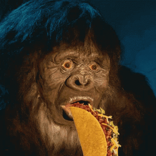 Bigfoot Taco GIF - Bigfoot Taco Gorilla GIFs