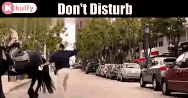 a man riding a horse down a street with the words " do n't disturb " below him
