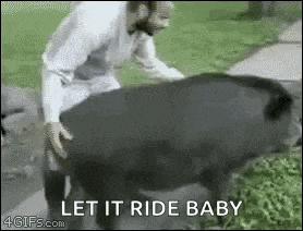a man is standing next to a large black bear and says `` let it ride baby '' .