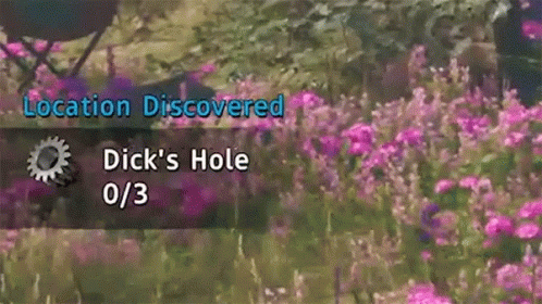 Location Discovered Dicks Hole GIF - Location Discovered Dicks Hole Location Detected GIFs