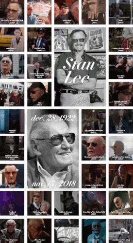 Rip Stan Lee Cameo GIF - Rip Stan Lee Stan Lee Cameo GIFs