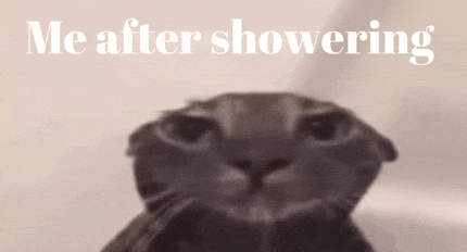 a close up of a cat 's face with the words `` me after showering '' written in white letters .