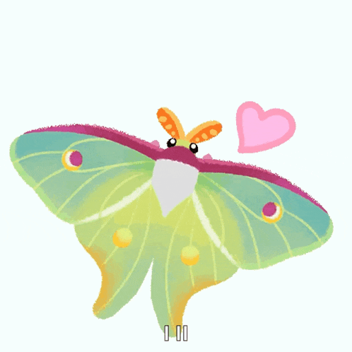 a colorful butterfly with a pink heart behind it