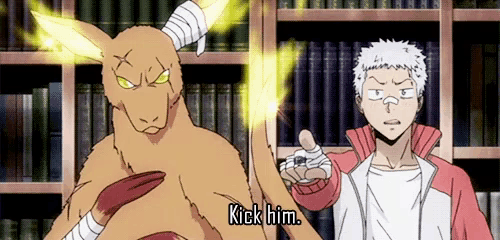 a man standing next to a kangaroo with the words kick him above him