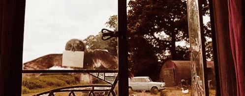 Harry Potter Mail GIF - Harry Potter Mail Delivery GIFs