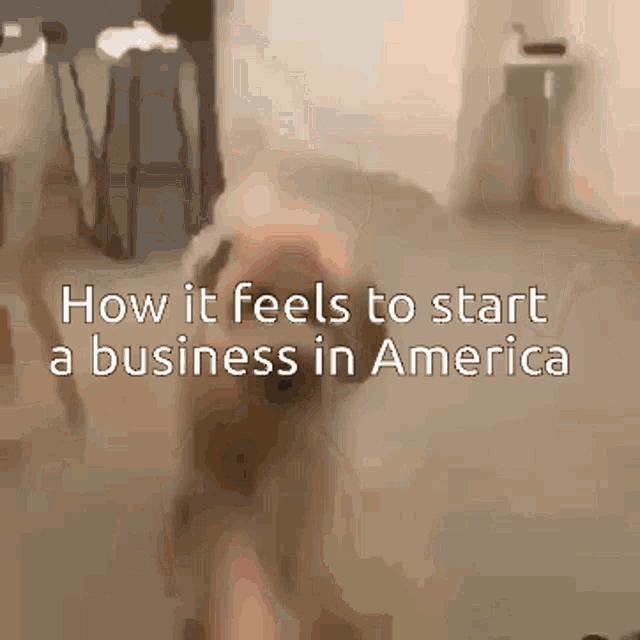 how it feels to start a business in america is shown