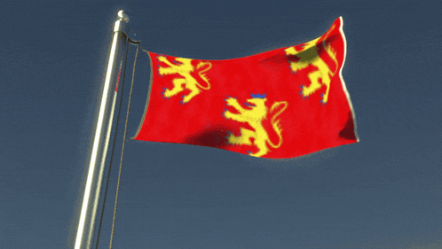 a red flag with a yellow lion on it