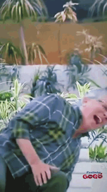 a man in a plaid shirt is laying down with his mouth open and the words paulinho gogo on the bottom