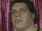 Andre The Giant Surprised GIF - Andre The Giant Surprised Big Eyes GIFs