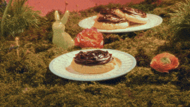 two plates of cookies with chocolate frosting sit on a mossy field