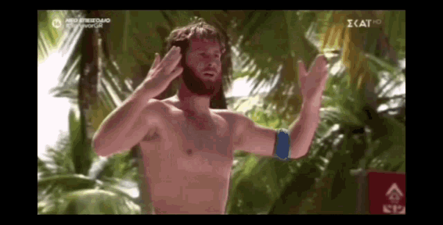 a shirtless man with a beard is standing in front of a palm tree with his arms outstretched .