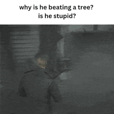 why is he beating a tree is he stupid written on a picture of a man beating a tree