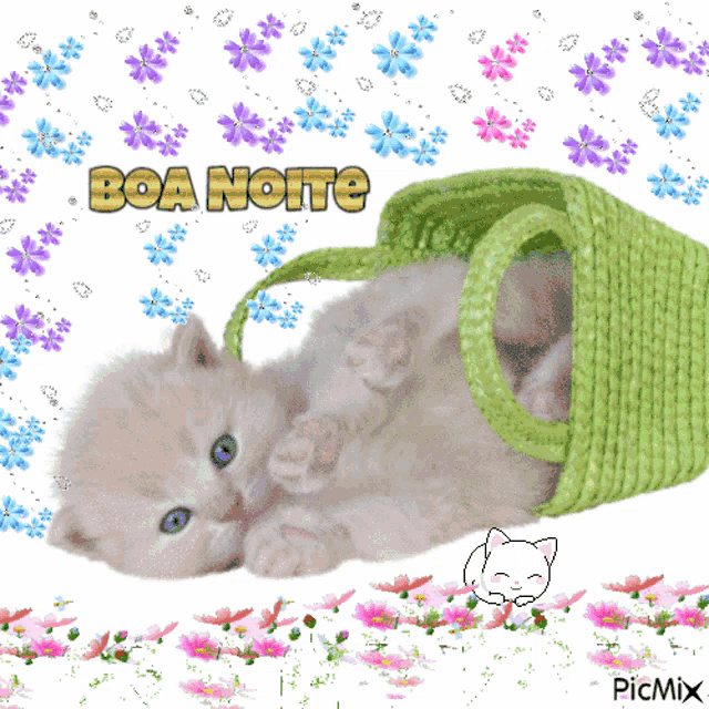 a picture of a kitten laying in a green basket with the words boa noite written above it