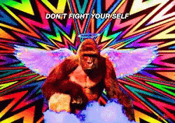 Dont Fight Your Self Wings GIF - Dont Fight Your Self Wings Halo GIFs
