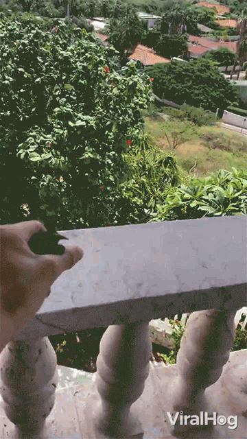 a person is standing on a balcony with the words viralhog on the bottom right