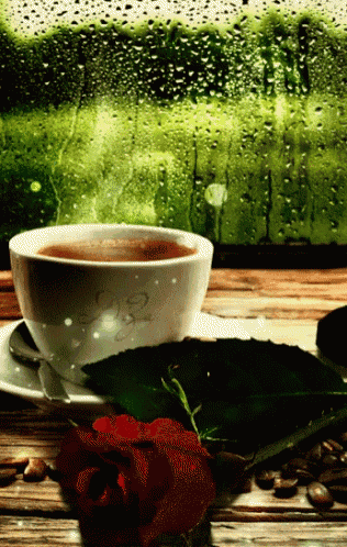 a cup of coffee sits on a saucer next to a rose in front of a window with rain drops on it