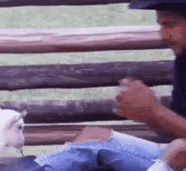 a man in a cowboy hat is sitting on a bench with a white cat .
