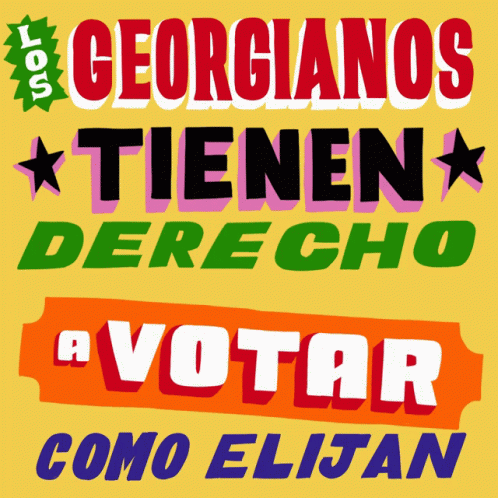 Georgia Georgia Voter GIF - Georgia Georgia Voter Georgia Voting GIFs