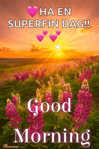 a picture of a field of flowers with the words ha en superfin dag