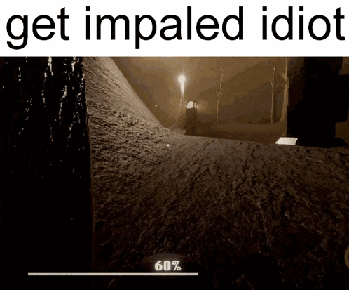 a screenshot of a video game with the words get impaled idiot
