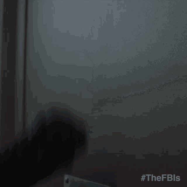 a person wearing black gloves is cleaning a door with the hashtag #thefbls on the bottom