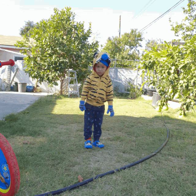 a little boy wearing a tiger hoodie and blue gloves stands in the grass