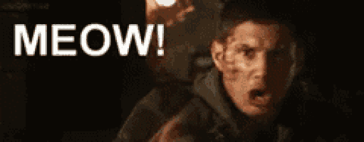a man with blood on his face is screaming with the word meow behind him .