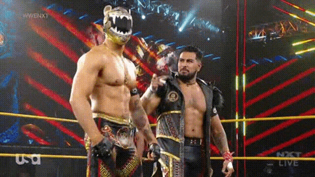two men are standing next to each other in a wrestling ring . one of the men is wearing a mask .