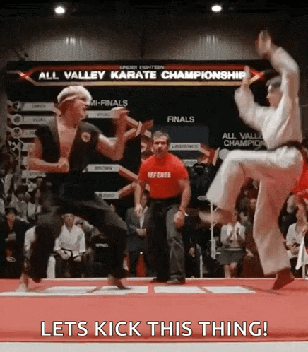 Karate Kid Karate GIF - Karate Kid Karate Kick GIFs
