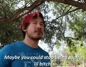 Stop Being A Bitch Markiplier GIF - Stop Being A Bitch Markiplier Funny GIFs