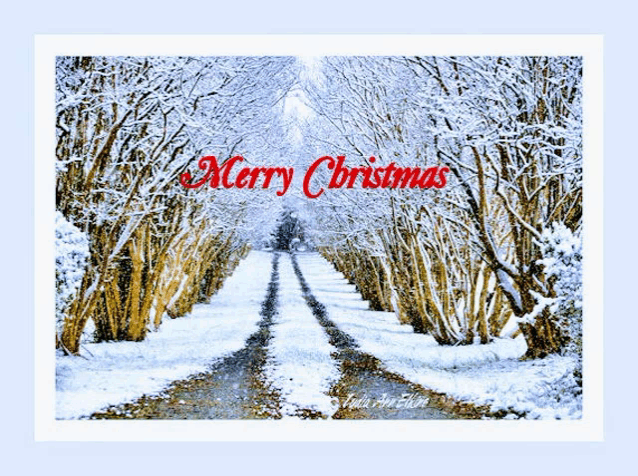 a picture of a snowy road with the words merry christmas in red