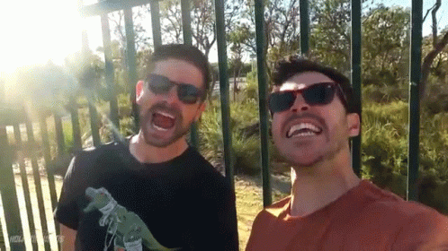 Laughing How Ridiculous GIF - Laughing How Ridiculous Happy GIFs
