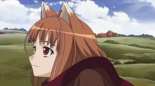 Holo Spice And Wolf Anime GIF - Holo Spice And Wolf Anime Cartoon GIFs
