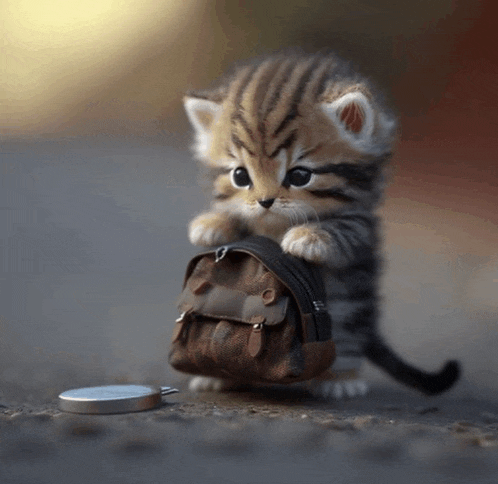 a small kitten holding a small brown bag