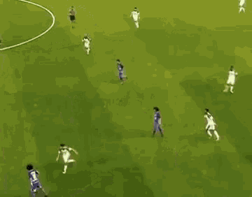 a group of soccer players are playing a game on a soccer field .
