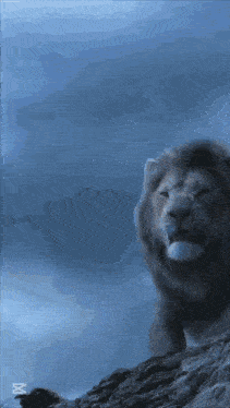 a lion standing on top of a rocky hill with a blue sky behind it