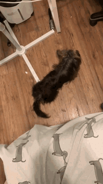 a small black dog laying on a blanket with dachshunds on it
