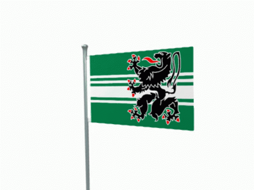 Vlag Oost GIF - Vlag Oost Vlaanderen GIFs