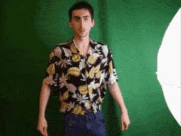 a man wearing a hawaiian shirt stands in front of a green screen